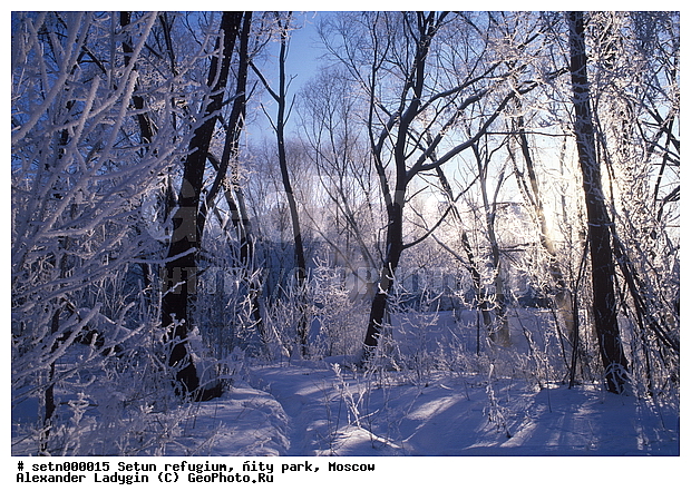 ������, ����, ������, ������� ����, ����, ����, ����