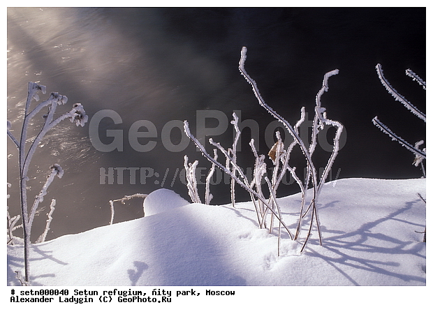 ������, ����, ������, ������� ����, ����, ����, ����