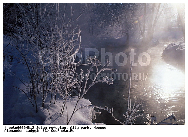 ������, ����, ������, ������� ����, ����, ����, ����