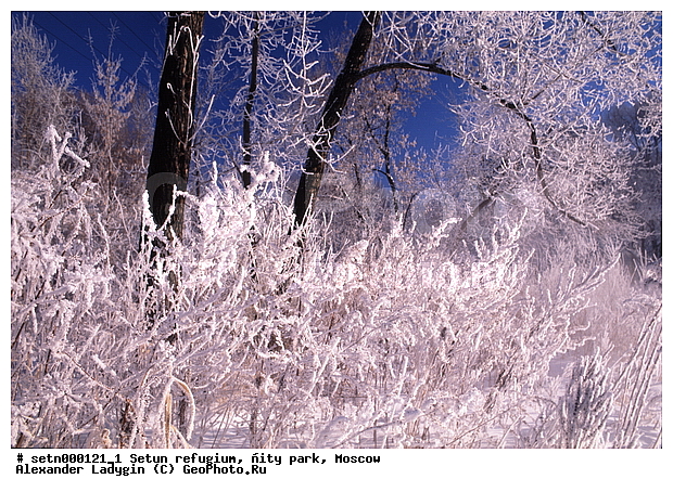 ������, ����, ������, ������� ����, ����, ����, ����