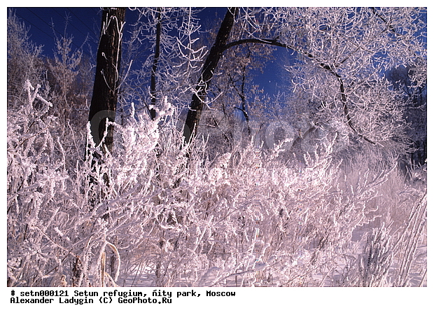 ������, ����, ������, ������� ����, ����, ����, ����