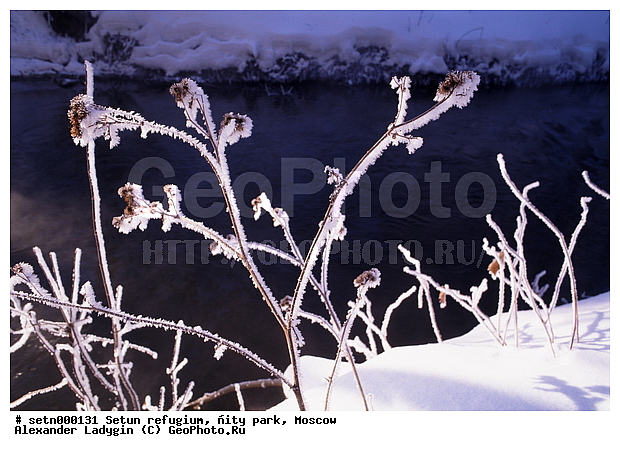 ������, ����, ������, ������� ����, ����, ����, ����