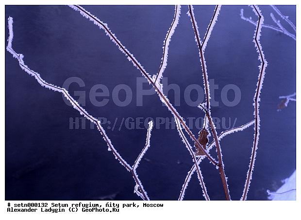 ������, ����, ������, ������� ����, ����, ����, ����