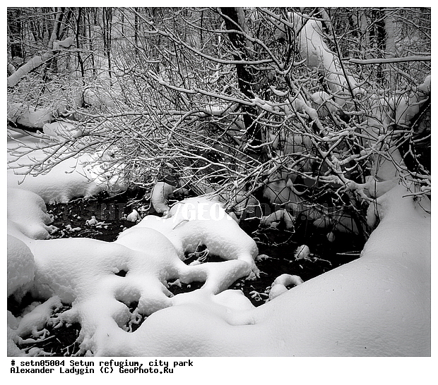 ������, ����, ������, ������� ����, ����, ����, ����