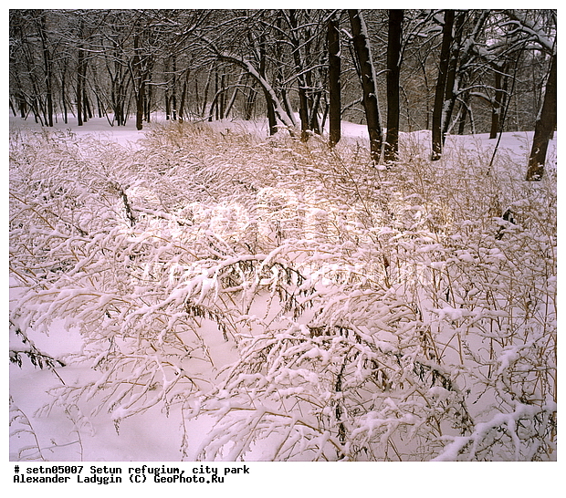 ������, ����, ������, ������� ����, ����, ����, ����