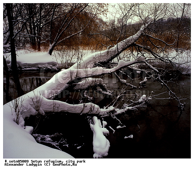 ������, ����, ������, ������� ����, ����, ����, ����