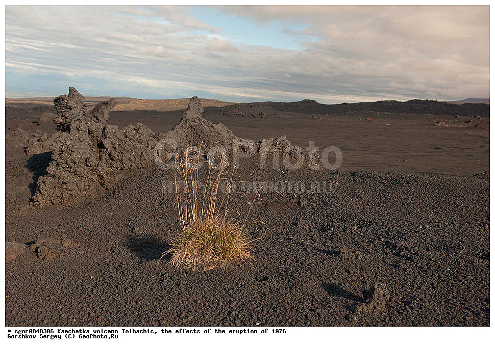 ������, ��������, ������ ��������, ���������� 1976 �