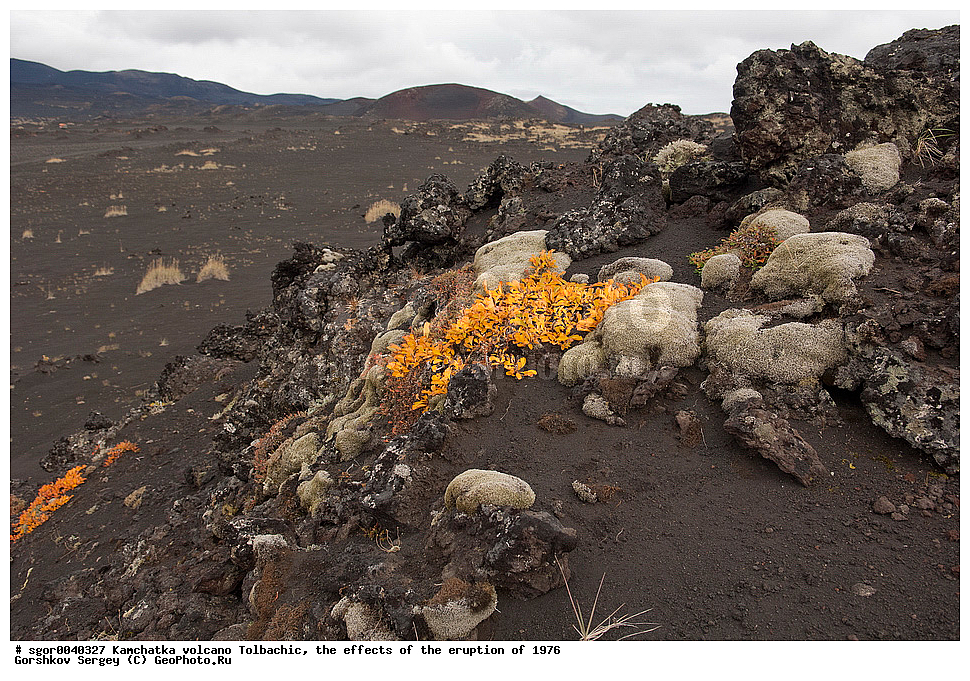 ������, ��������, ������ ��������, ���������� 1976 �