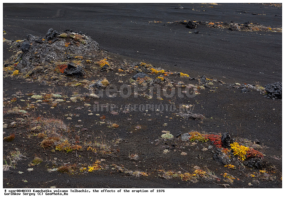 ������, ��������, ������ ��������, ���������� 1976 �