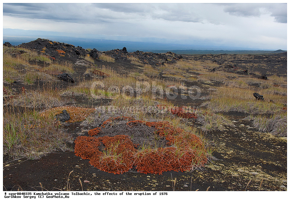 ������, ��������, ������ ��������, ���������� 1976 �