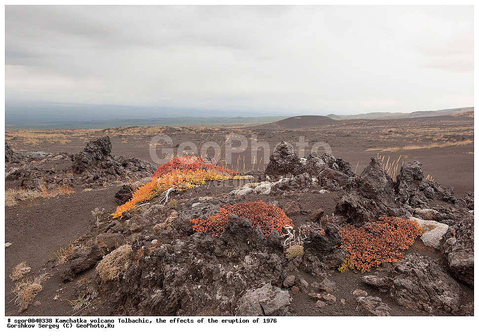 ������, ��������, ������ ��������, ���������� 1976 �