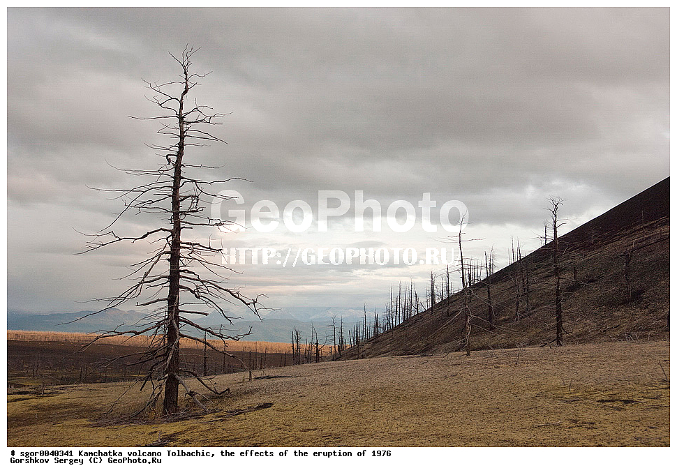 ������, ��������, ������ ��������, ���������� 1976 �