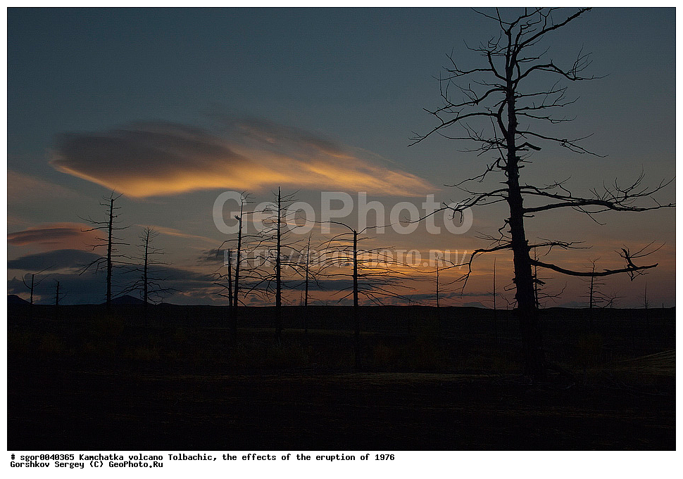 ������, ��������, ������ ��������, ���������� 1976 �