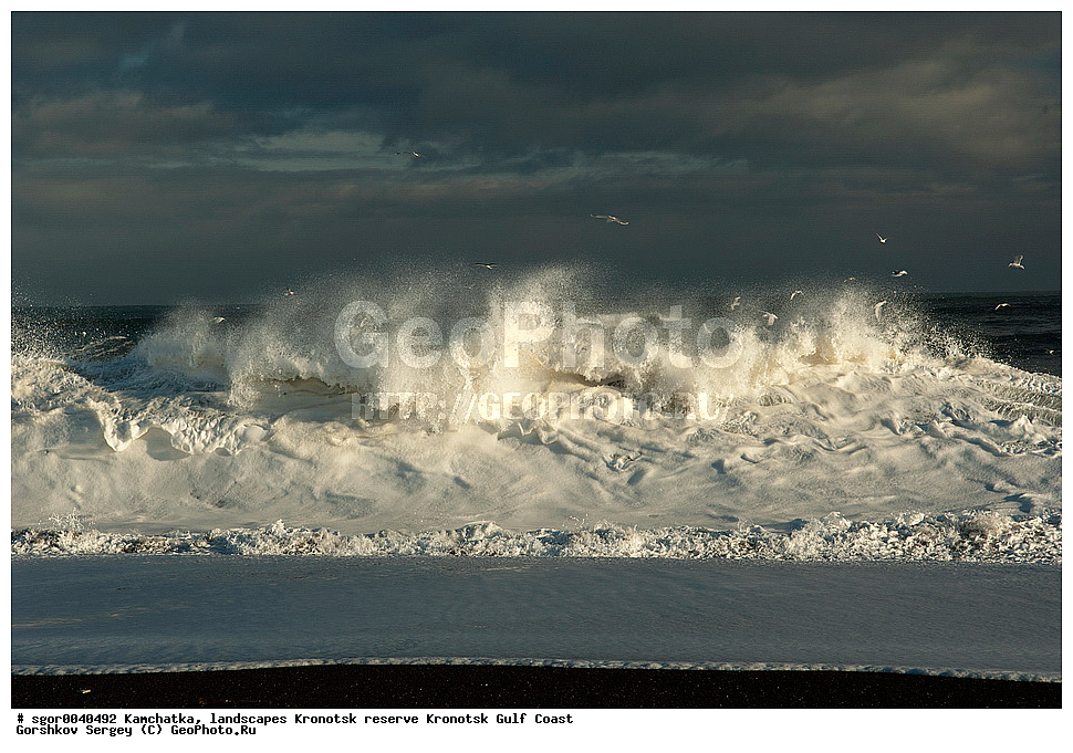 ��������,  ������, ��������� ����������,  ���������, ��������� �����, �����, �����, �����, �����, ������