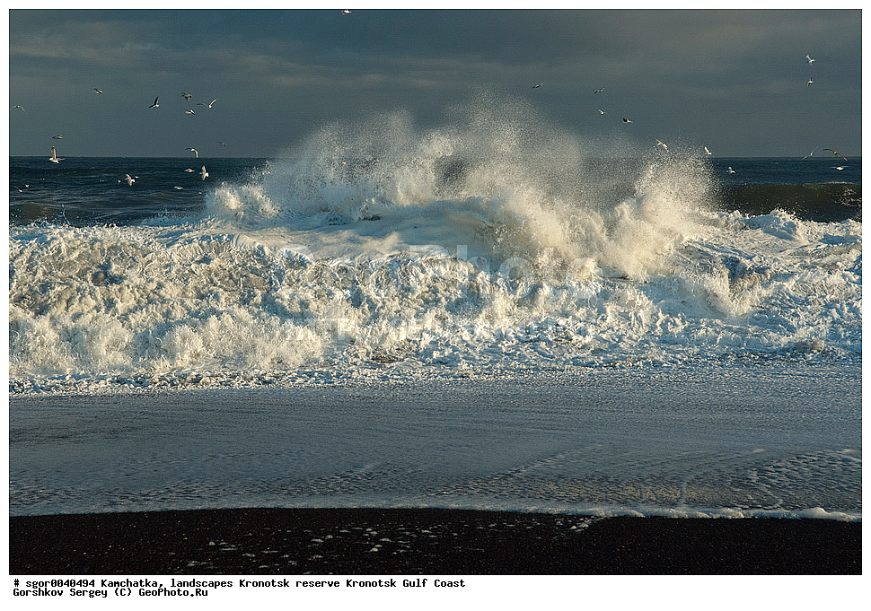 ��������,  ������, ��������� ����������,  ���������, ��������� �����, �����, �����, �����, �����, ������