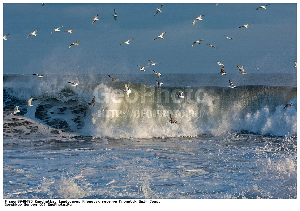 ��������,  ������, ��������� ����������,  ���������, ��������� �����, �����, �����, �����, �����, ������