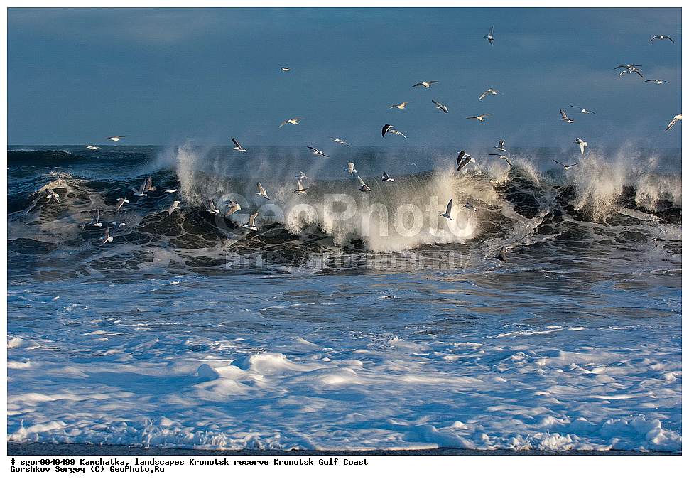 ��������,  ������, ��������� ����������,  ���������, ��������� �����, �����, �����, �����, �����, ������