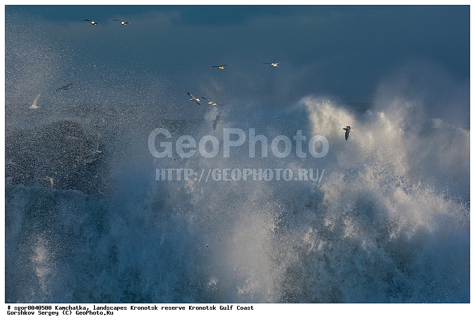 ��������,  ������, ��������� ����������,  ���������, ��������� �����, �����, �����, �����, �����, ������