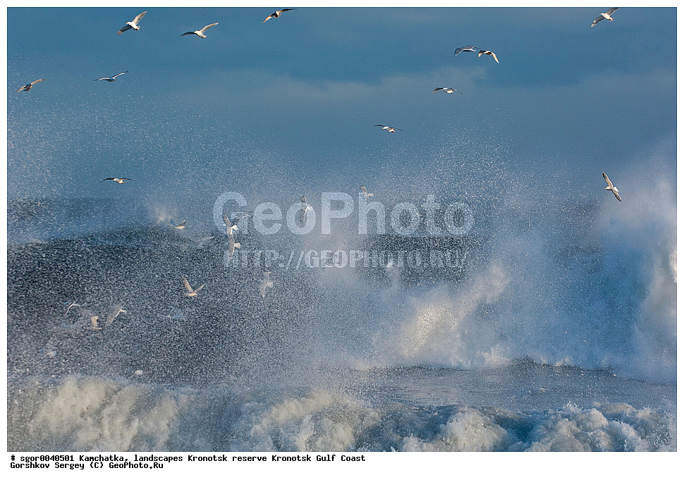 ��������,  ������, ��������� ����������,  ���������, ��������� �����, �����, �����, �����, �����, ������