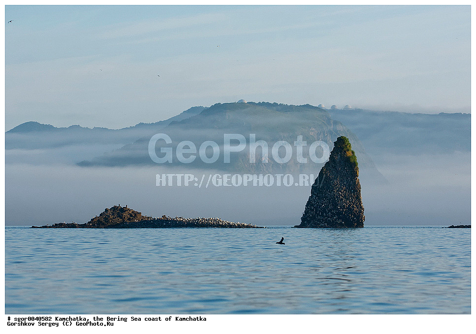  ��������, ��������������� ���������, ����� �����, �����, ��������� ����