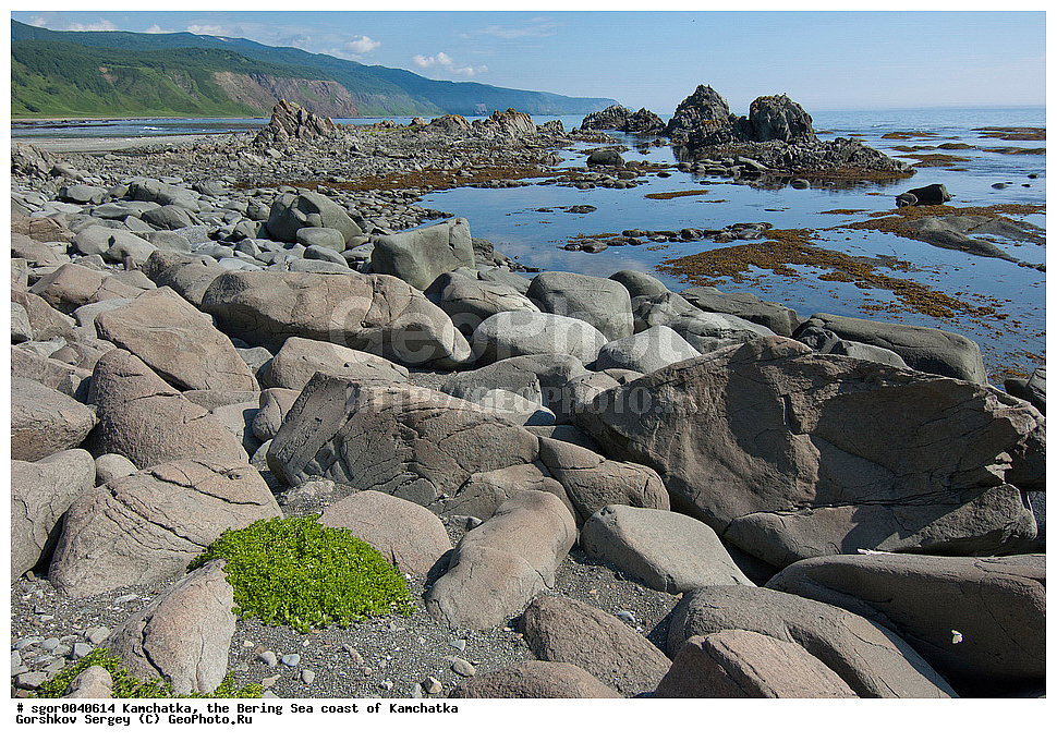  ��������, ��������������� ���������, ����� �����, �����, ��������� ����