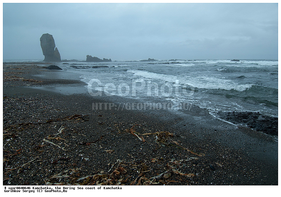  ��������, ��������������� ���������, ����� �����, �����, ��������� ����