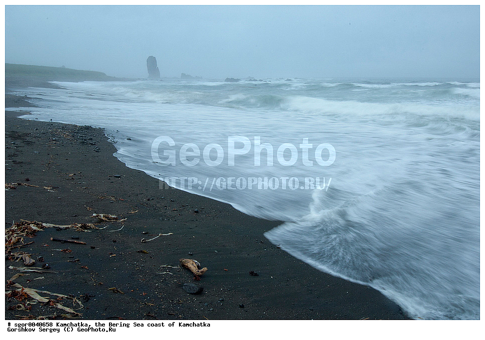  ��������, ��������������� ���������, ����� �����, �����, ��������� ����