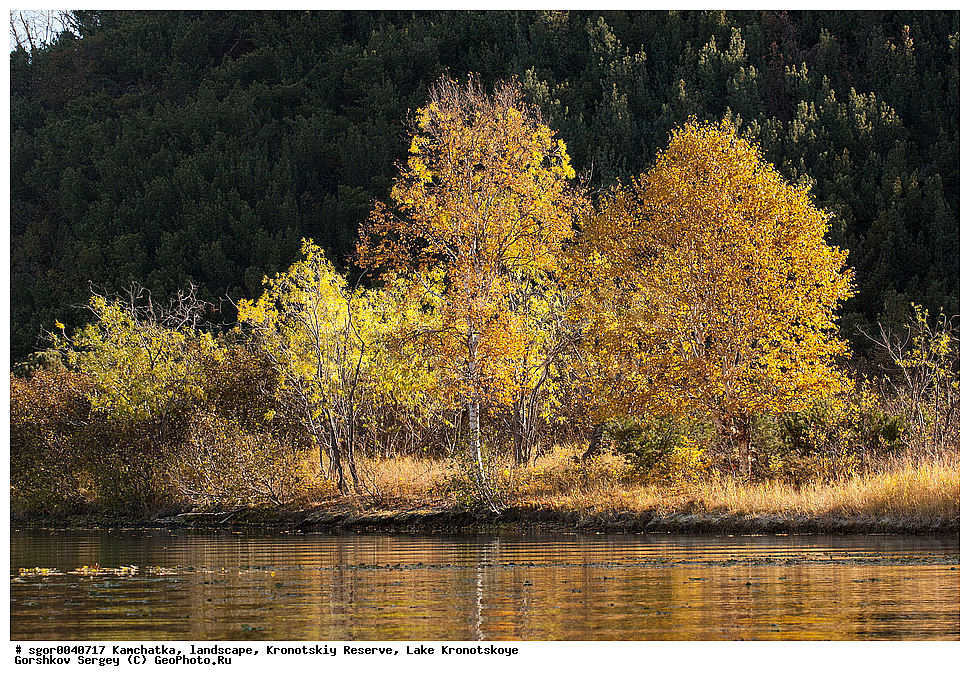  ��������,  ������, ��������� ����������, ����� ���������