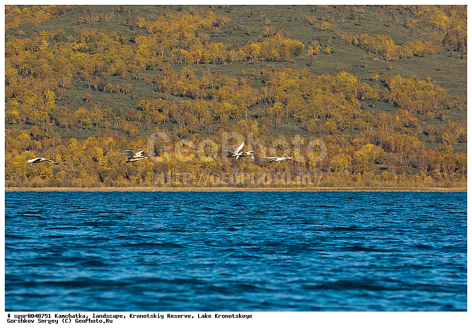  ��������,  ������, ��������� ����������, ����� ���������