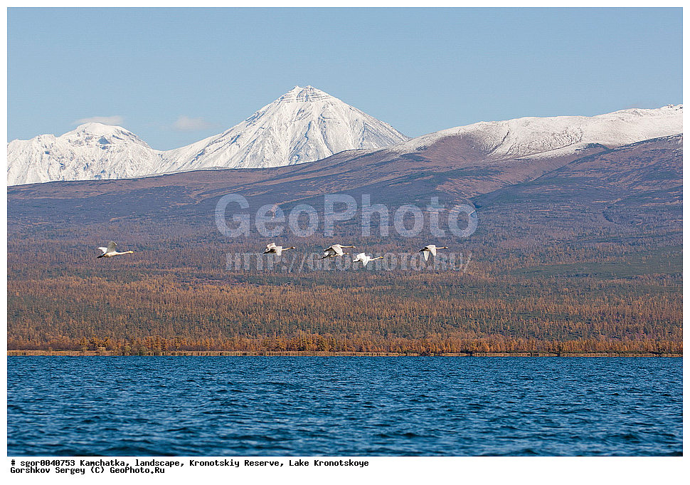  ��������,  ������, ��������� ����������, ����� ���������