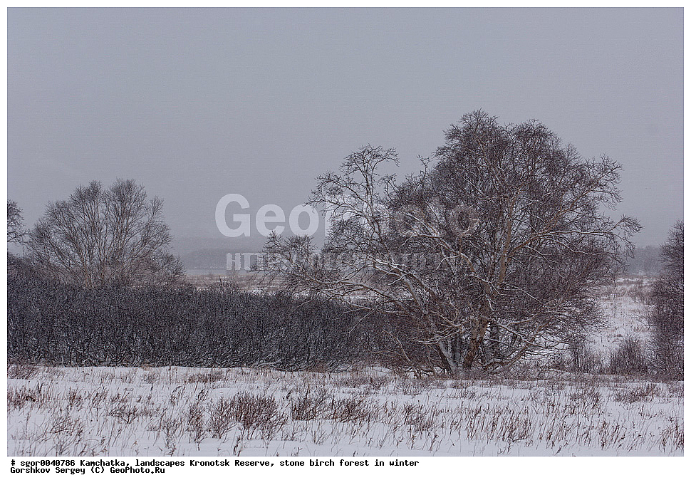 ������� ��������, ��������������, ��������, ��������� �����, ����