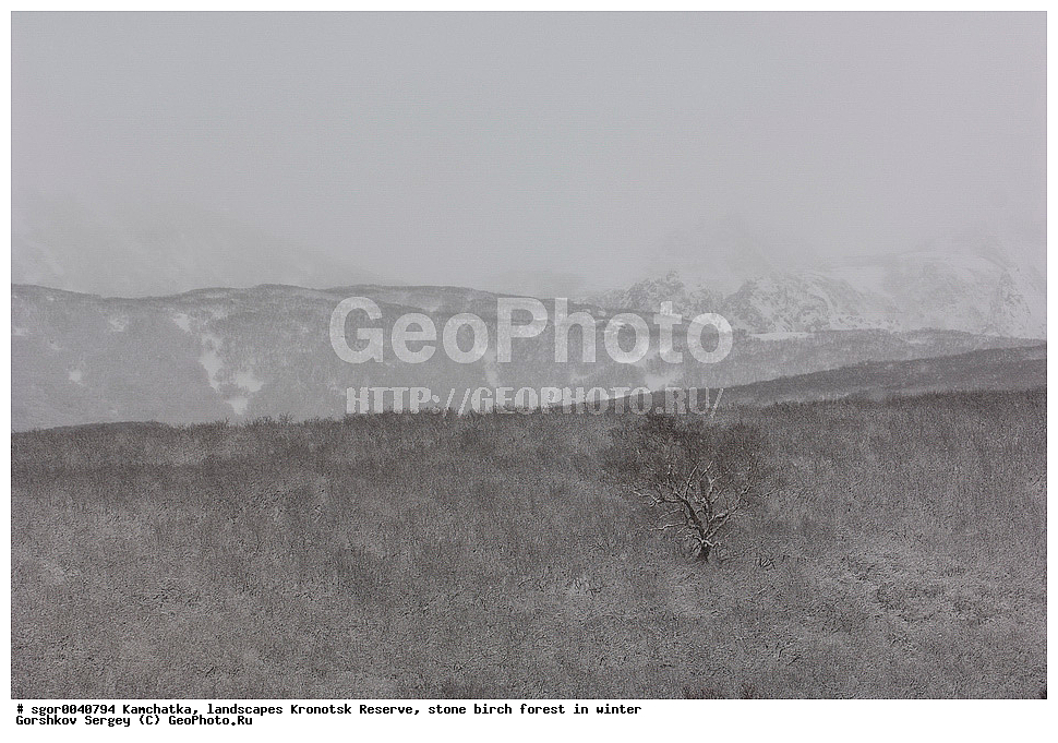 ������� ��������, ��������������, ��������, ��������� �����, ����