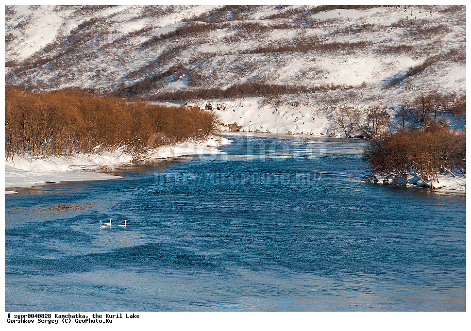  ��������, �����, ����������, 