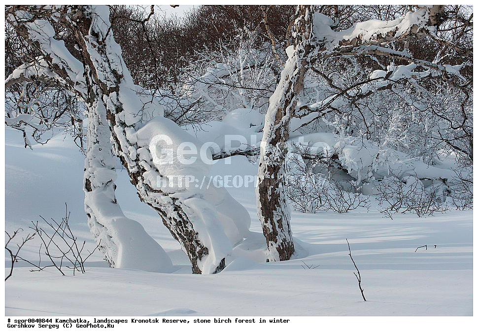 ������� ��������, ��������������, ��������, ��������� �����, ����