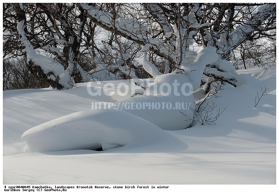 ������� ��������, ��������������, ��������, ��������� �����, ����