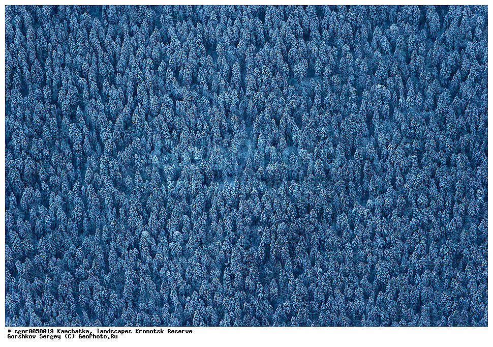  ��������,  ������, ��������� ����������, ���� �������, �����, ����, ����������� ���, ������, ��� ������