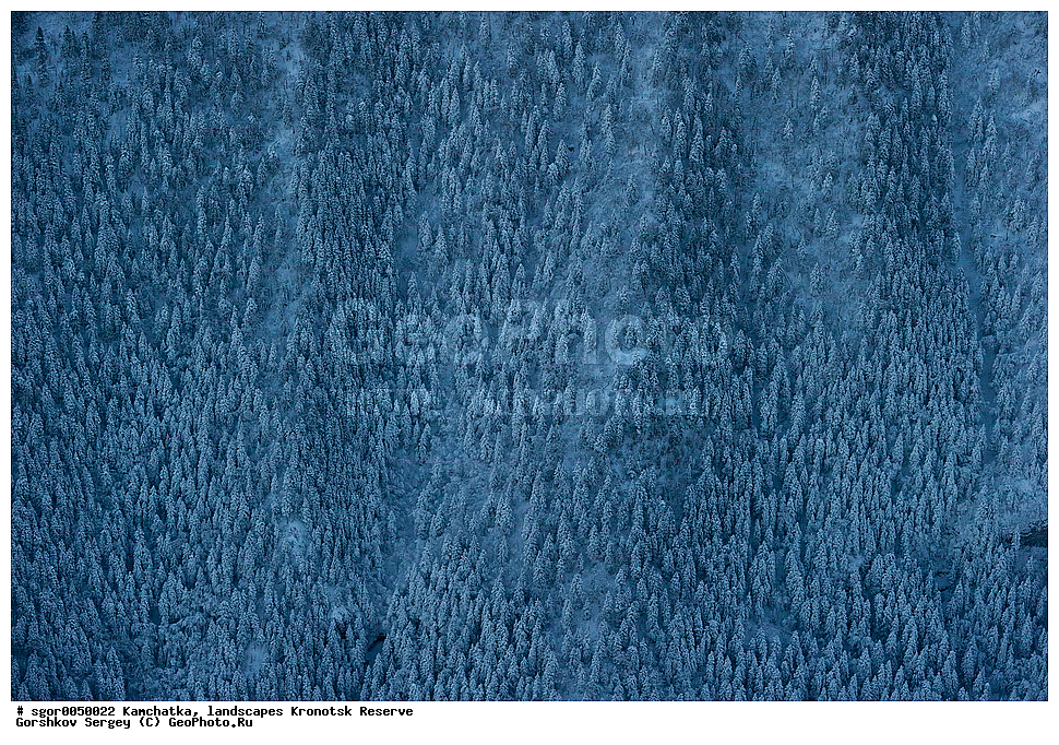  ��������,  ������, ��������� ����������, ���� �������, �����, ����, ����������� ���, ������, ��� ������