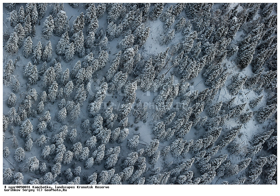  ��������,  ������, ��������� ����������, ���� �������, �����, ����, ����������� ���, ������, ��� ������