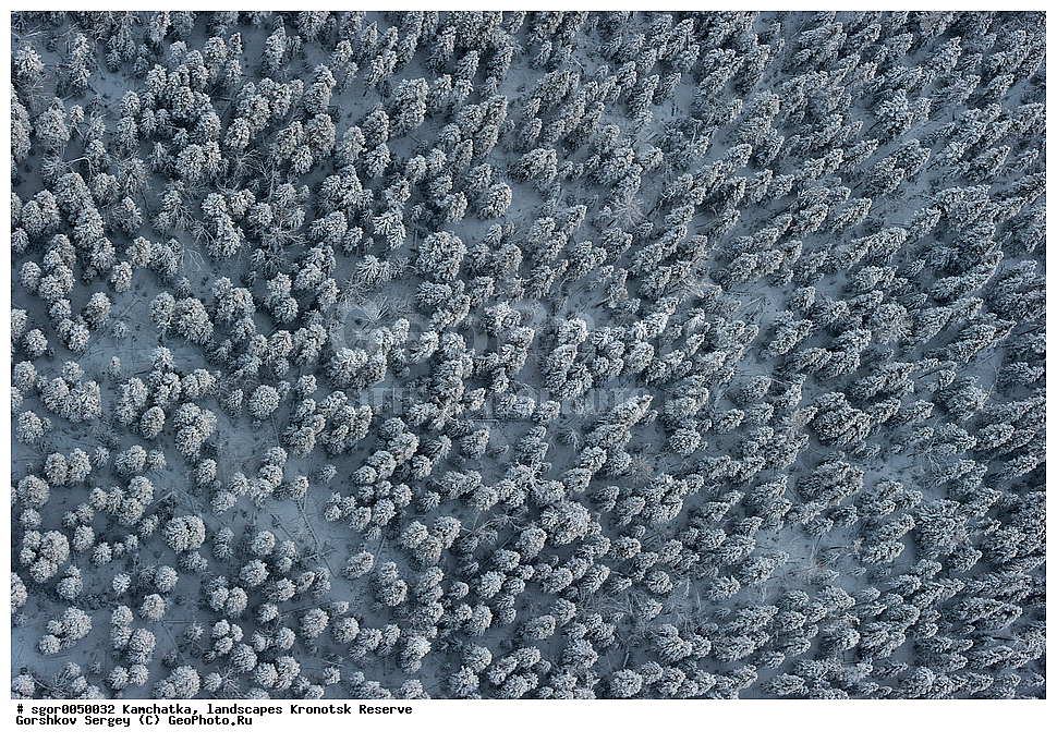  ��������,  ������, ��������� ����������, ���� �������, �����, ����, ����������� ���, ������, ��� ������