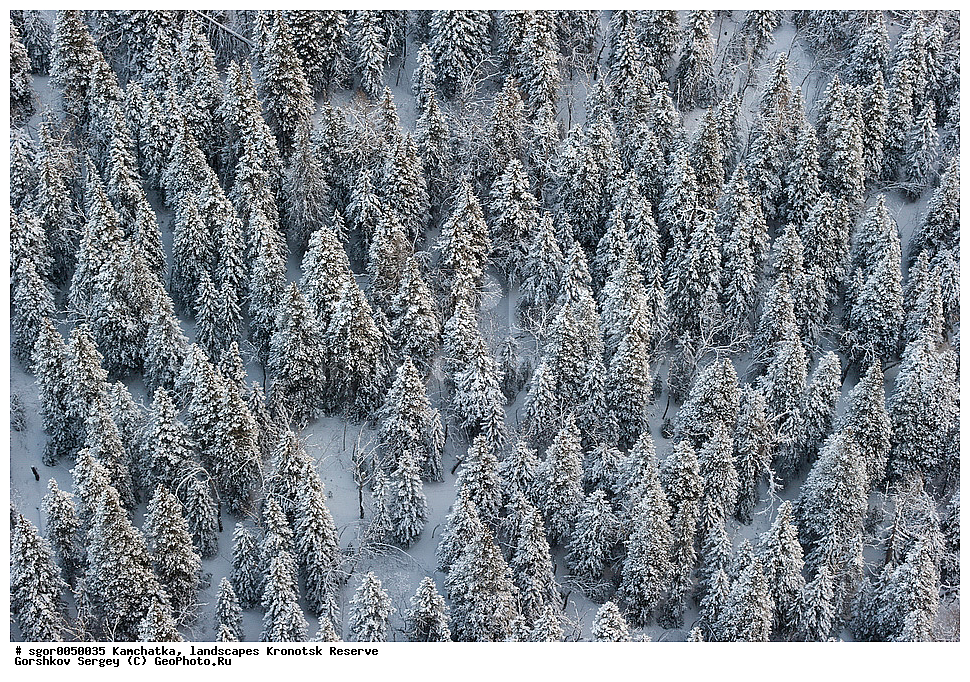  ��������,  ������, ��������� ����������, ���� �������, �����, ����, ����������� ���, ������, ��� ������