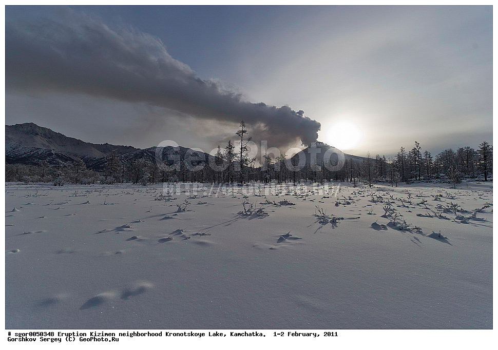 ����������,  ������, �������, ��������� ����������, �������,  2011, ��������, ���������, ����,  ����� �������, 