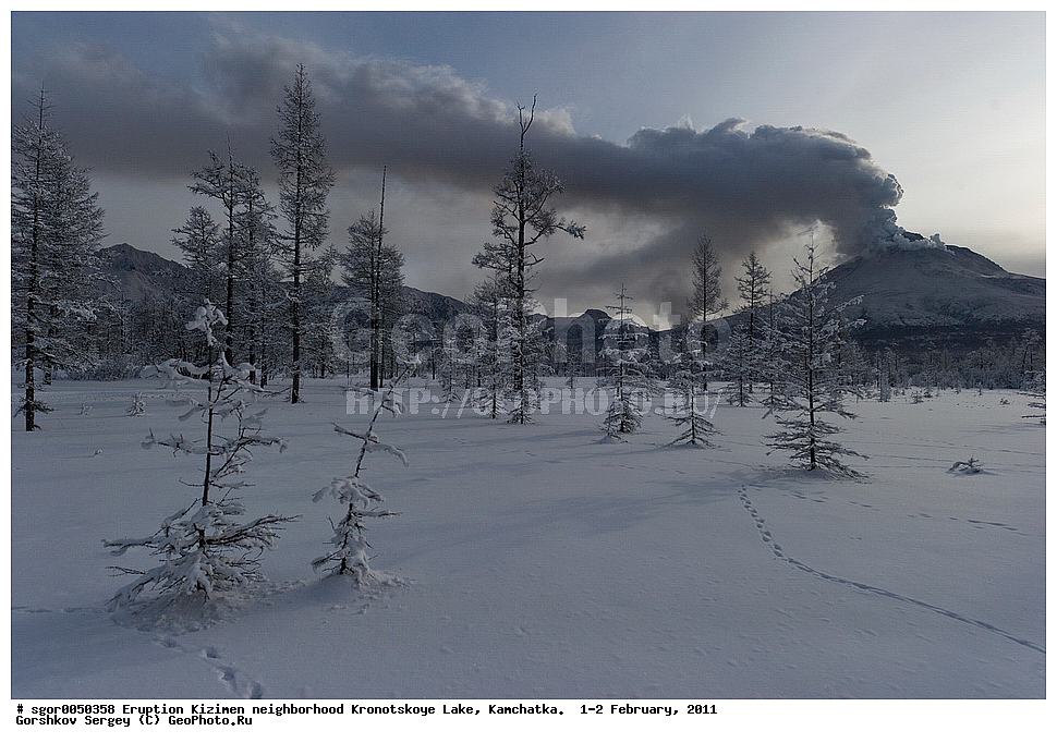 ����������,  ������, �������, ��������� ����������, �������,  2011, ��������, ���������, ����,  ����� �������, 