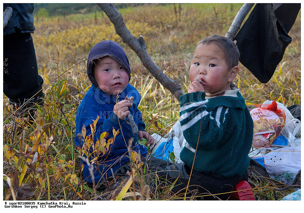 ���������� ��������, ���������� ����