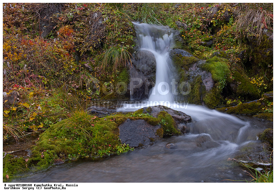 ���������� ��������, ���������� ����