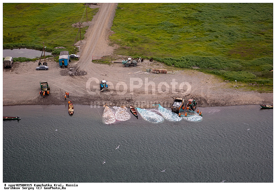 ��������, ��������, ����, ����, XYZ, ���������� ��������, ���������� ����, ��������, ���������, Salmonidae, ������, ������, ���, ������� ����, ����