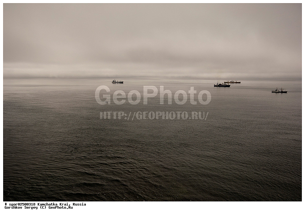 ��������, ��������, ����, ����, XYZ, ���������� ��������, ���������� ����, ��������, ���������, Salmonidae, ������, ������, ���, ������� ����, ����