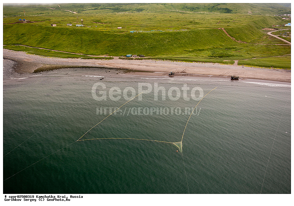 ��������, ��������, ����, ����, XYZ, ���������� ��������, ���������� ����, ��������, ���������, Salmonidae, ������, ������, ���, ������� ����, ����