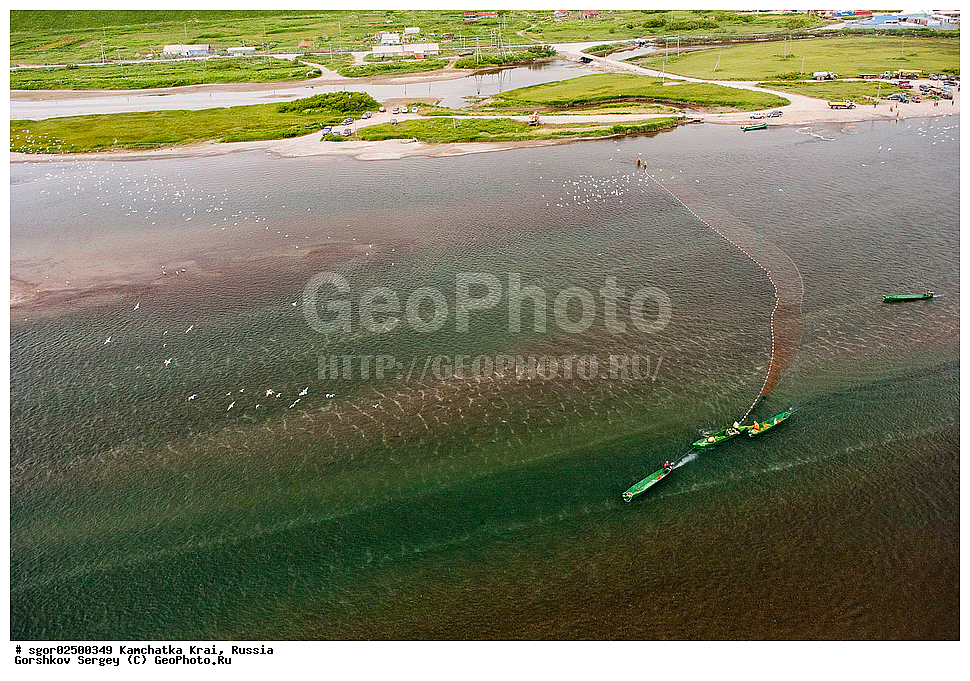 ��������, ��������, ����, ����, XYZ, ���������� ��������, ���������� ����, ��������, ���������, Salmonidae, ������, ������, ���, ������� ����, ����