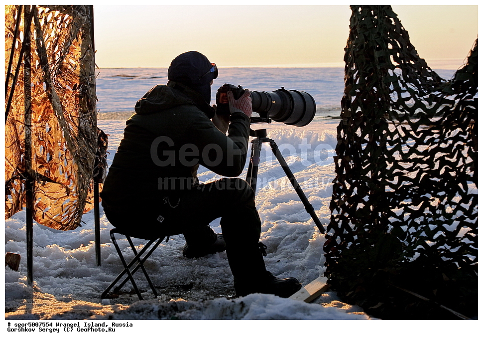  �������, ��������, ���������, �����, ���������, ��������� ���������� �����, ��������� ��, ��������-��������� ����, ��������� ����, �������, ������ ��������, ����������, ��������, ����������, ������, ���������, ������� �������, ������� �������