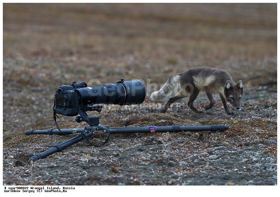 �������, ��������, ���������, �����, ���������, ��������� ���������� �����, ��������� ��, ��������-��������� ����, ��������� ����, �������, ������ ��������, ����������, ��������, ����������, ������, ���������, ������, �����, ������